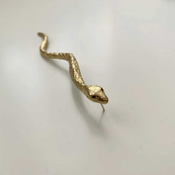 Curled Snake Küpe